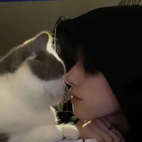 少年的情谊真挚而热烈