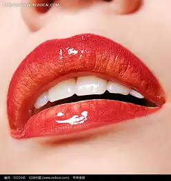 诱惑的红唇图片免费下载编号1021645红动网
