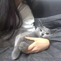 头像女生头像,半身头像高清