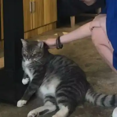 情侣照片真人头像,超甜氛围感的真人情头