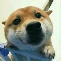 微信群头像我们单身微信头像图片大全