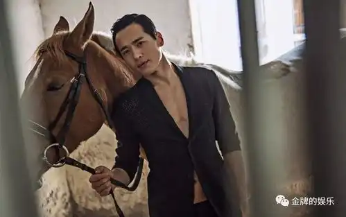 高云翔案出现重大利好,澳媒体正式将性侵改为袭击