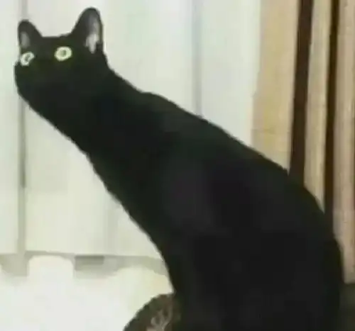 长什么样的才是古典素描