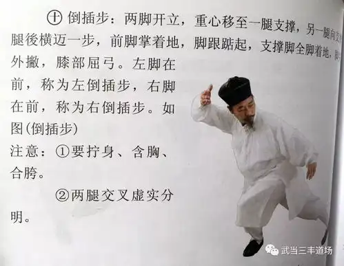 武当太极课堂太极拳二十八势4