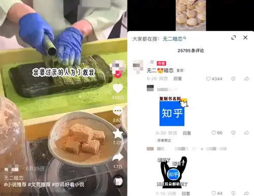 在抖音追小说,养肥了谁