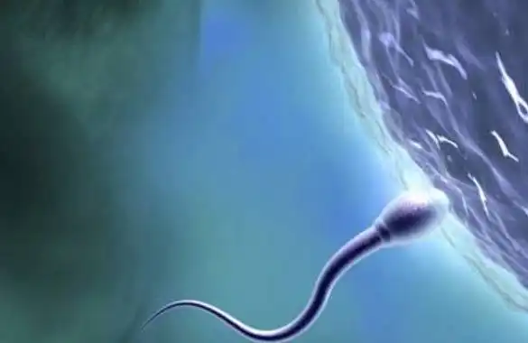 男人常见的伤精的行为,特别是第3种,很多人可能天天在做