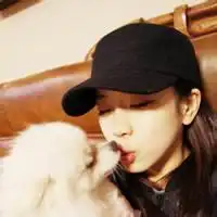 微信头像图片大全动物狗微信头像图片大全