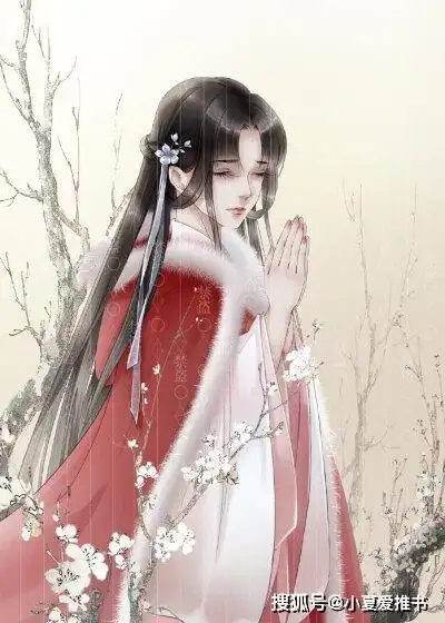 十本熬夜都得看完的小说,高质量,不小白,结局he都完结上简介
