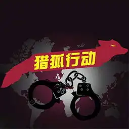 中央反腐全覆盖强力清理避风港