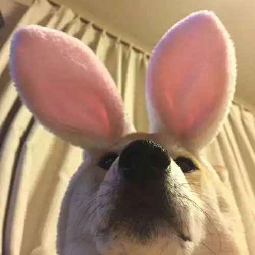 头像丨搞怪头像