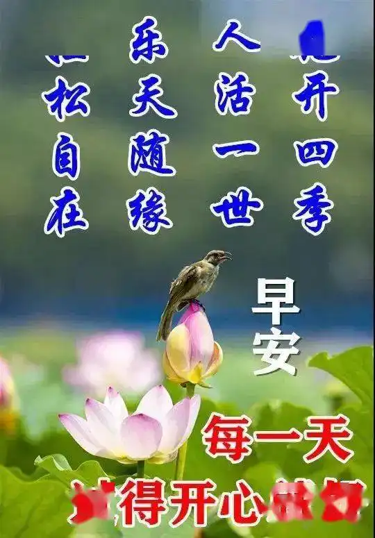 8张最有创意唯美的冬天早安早上好图片带祝福语2021最新好看冬天早安问候祝福语图片精选