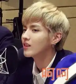 中国粉丝最多的韩团是exo吗