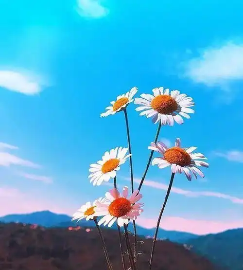 余生致自己的句子,大彻大悟