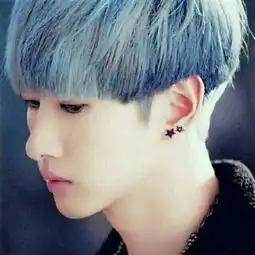 类似这样的发型