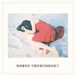我很喜欢你,可是好像只能都这里了情书