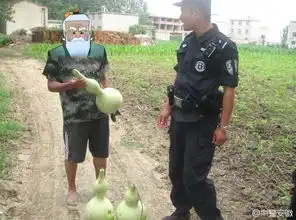 偷葫芦称当葫芦娃3熊孩子幻想做葫芦兄弟