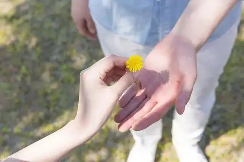 十二月开始,4大星座平步青云,财神青睐,财运爆表,双子上榜