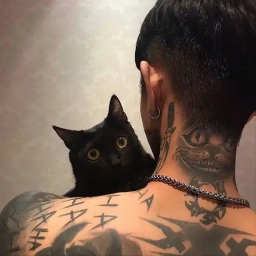 罗兰西装匪哇这歌我喜欢是你们的菜