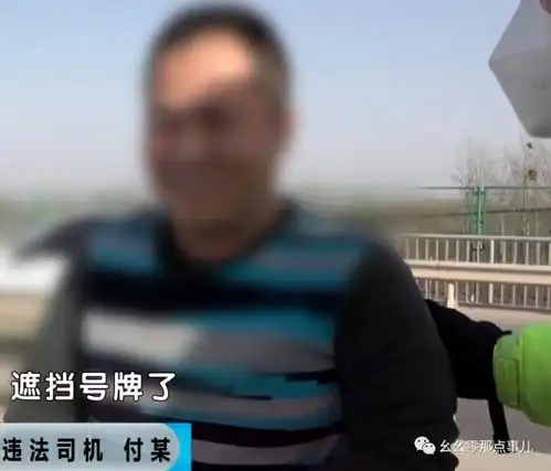 前牌照戴口罩,后牌照变造鸡贼司机不想办进京证,拘留所过大年