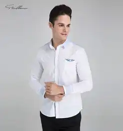 狮道芬堡白衬衫男2014春装新款纯棉绣花商务修身长袖寸衫9661