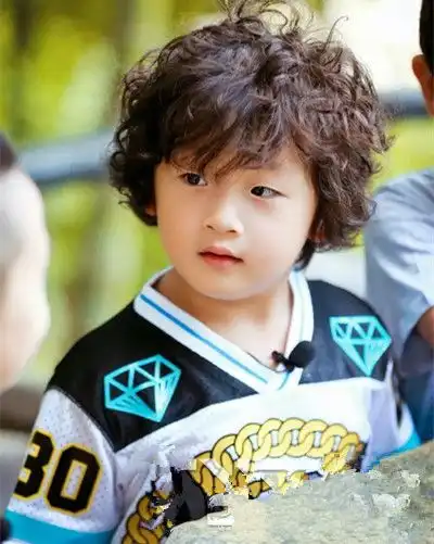 总共有多少种卷发女孩卷毛的图片和名称分析