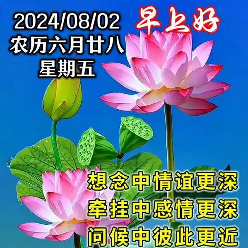 2024年8月2日星期五早上好,精选周五早安祝福语图片带字问候语