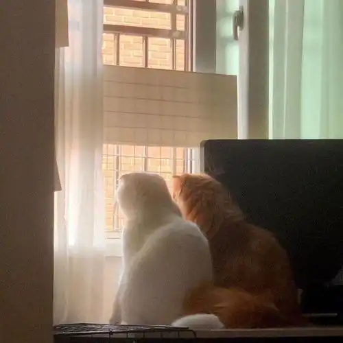 ins背景图三观正的温柔文案