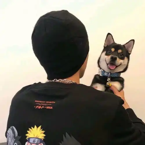 头像头像11.28期