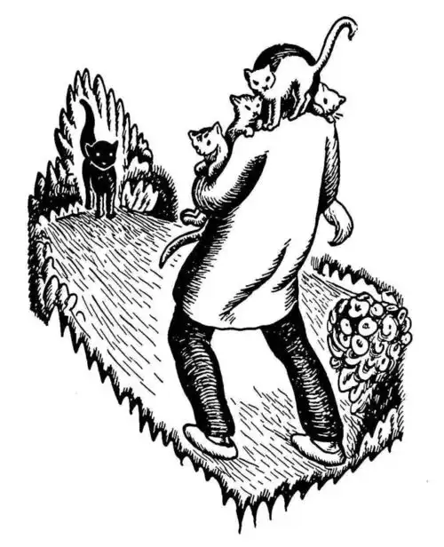 推送猫的一天,周末愉快哦