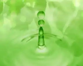 12星座谁是最佳男友