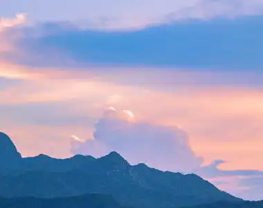 模仿王思聪的土味情话朋友圈都在模仿王思聪腾牛个性网