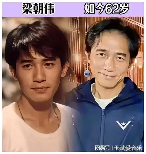 现在嫌大爷老,当年迷倒一大片这些发福男星,年轻时都是大帅哥