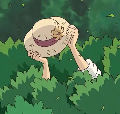 大家好,这是我2019的年终总结活动