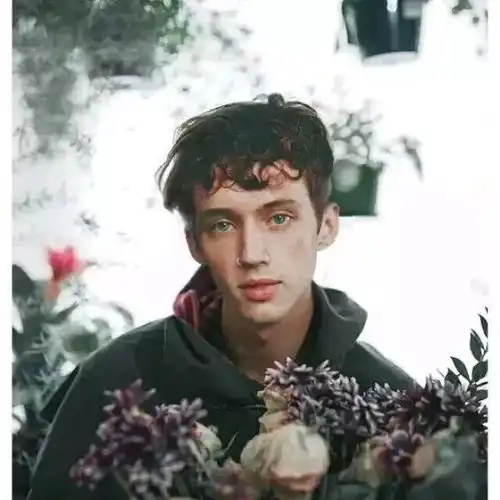 欧美男头,金发碧眼的帅哥谁不爱