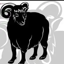 进入秋季,好运冲天的四大生肖