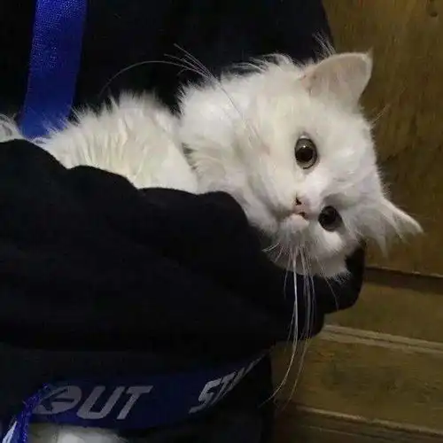 期末复习模式开启