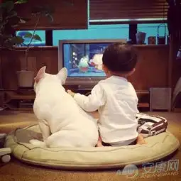 适合男孩名字的字