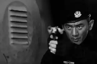 电视剧特警力量全集152集分集剧情介绍至大结局38集龙飞虎缉拿光头强