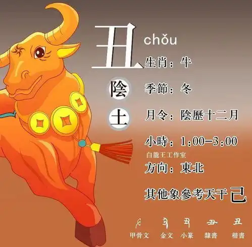 夏至阳气最旺盛3生肖把握此时旺到下半年