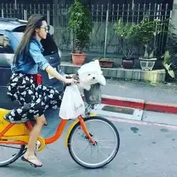 蔡依林前男友锦荣有新欢分手后的蔡依林,依旧美的闪闪发光