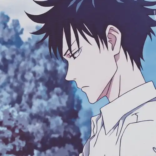 高清男头咒术回战伏黑惠