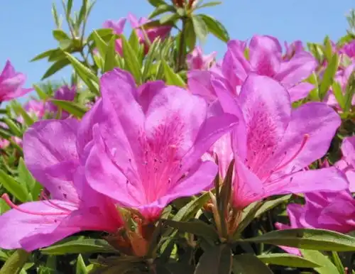 神仙下凡的几大出生日尾数,一生得上天庇护,家旺人旺财旺