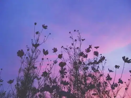 只有心碎后,才会懂得心痛距离