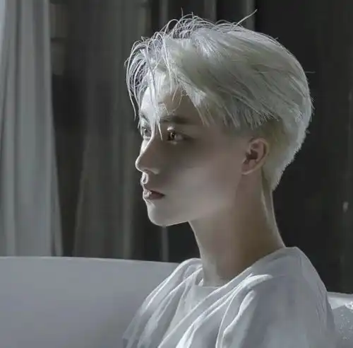 男生头像风度又翩翩