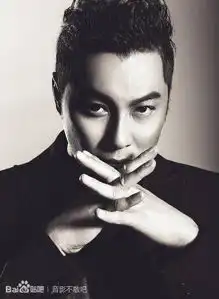 辉煌时期的香港电影,叱咤风云的港片男星5转载