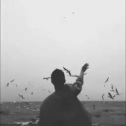 这是情侣头像吗