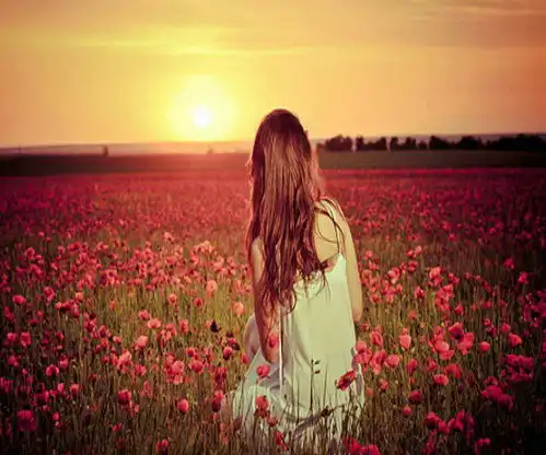 今年桃花运会特别旺的生肖