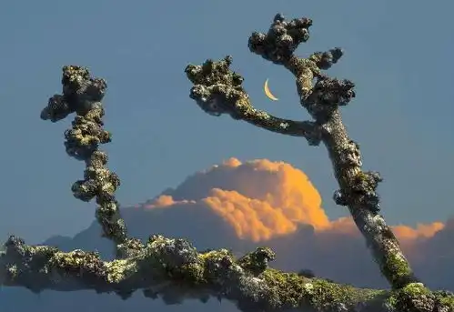 最美人生格言,句句经典,适合发朋友圈