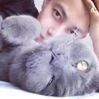 黑色帅气冷酷动漫图片微信头像图片大全