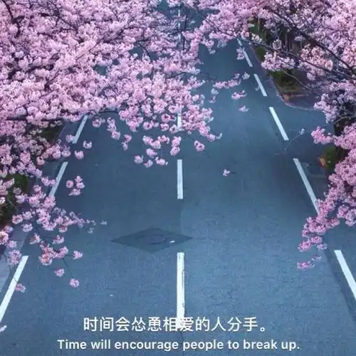 上传图片存储到数据库